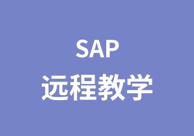 SAP远程教学