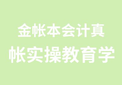 金帐本会计真帐实操教育学院园你高薪就业