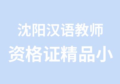 沈阳汉语教师资格证精品小班培训
