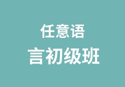 任意语言初级班