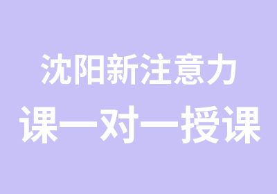 沈阳新注意力课授课