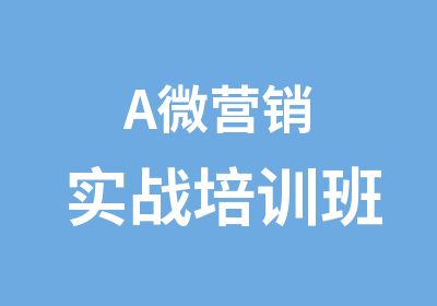 A微营销实战培训班