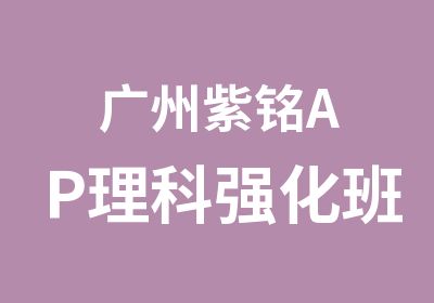 广州紫铭AP理科强化班