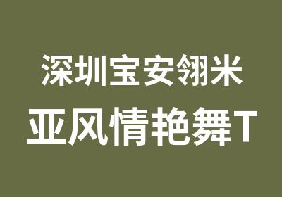 深圳宝安翎米亚风情艳舞TB秀培训班