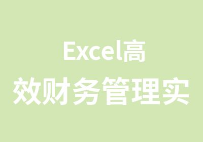Excel财务管理实用技能与模版