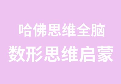 哈佛思维全脑数形思维启蒙课程