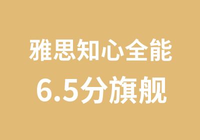 雅思知心全能6.5分旗舰外教VIP长线全程班