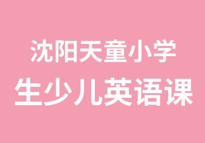 沈阳天童小学生少儿英语课程