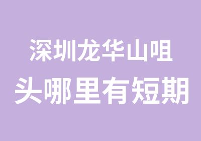 深圳龙华山咀头哪里有短期室内设计培训班