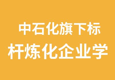 中石化旗下标杆炼化企业学习项目案例分享