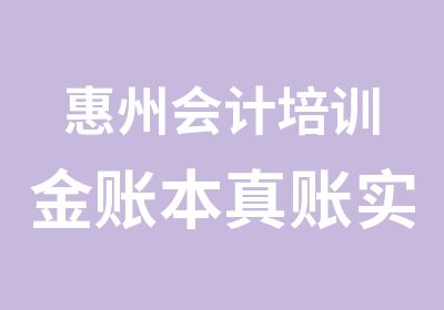 惠州会计培训金账本真账实操教