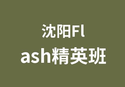 沈阳Flash