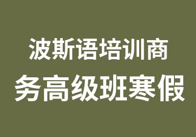 波斯语培训商务班寒假培训