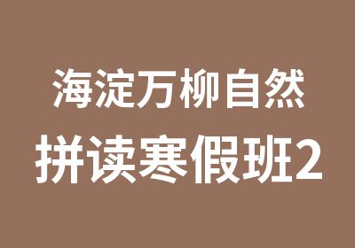 海淀万柳自然拼读寒假班2周小学初中150