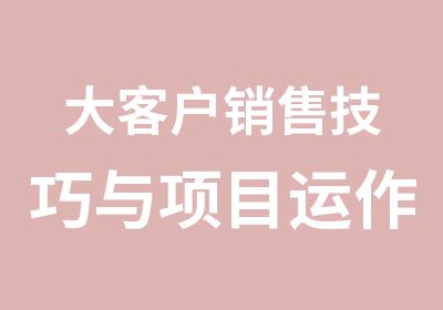 大客户销售技巧与项目运作实务