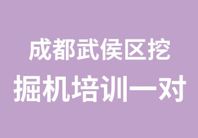 成都武侯区挖掘机培训包学会