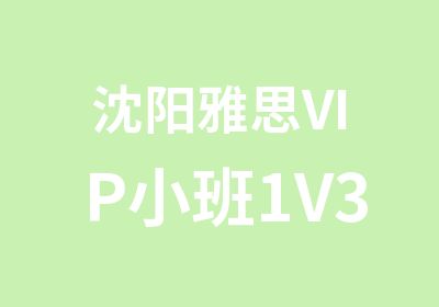 沈阳雅思VIP小班1V3