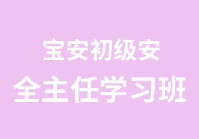 宝安初级安全主任学习班