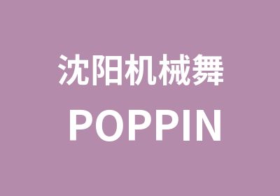 沈阳机械舞POPPIN