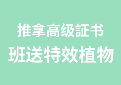 推拿証书班送植物膏药制作课程