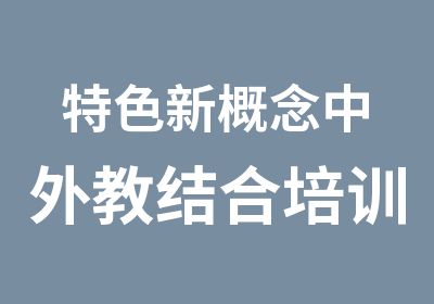 特色新概念中外教结合培训班