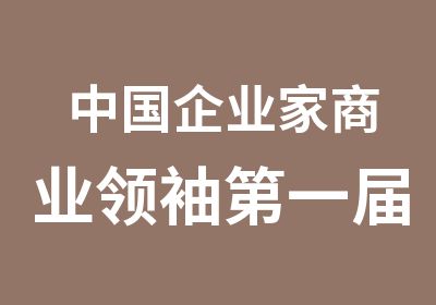 中国企业家商业届学习峰会