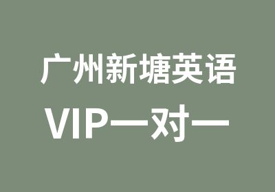 广州新塘英语VIP培训课程