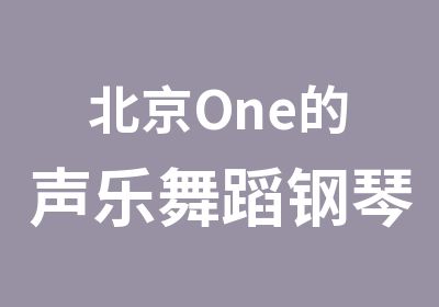 北京One的声乐舞蹈钢琴古筝乐器培训