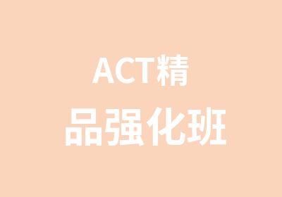 ACT精品强化班