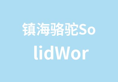 镇海骆驼SolidWorks工业制图