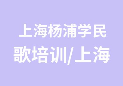 上海杨浦学民歌培训/上海杨浦学美声/上海宝山学欧美流行唱法