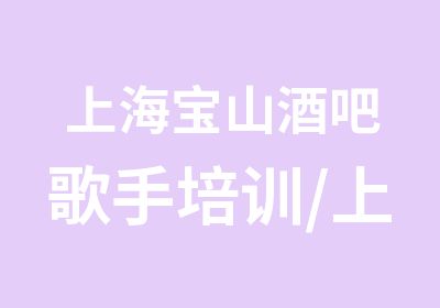 上海宝山酒吧歌手培训/上海宝山教英文歌的老师/上海宝山mono音乐工作室