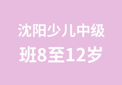 沈阳少儿中级班8至12岁