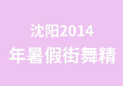 沈阳2014年暑假街舞精品班