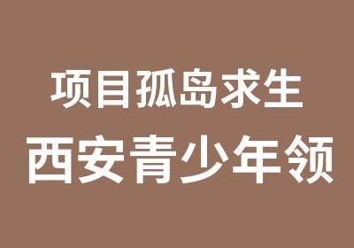 项目孤岛求生西安青少年训练营