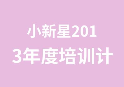 小新星2013年度培训计划月度总表