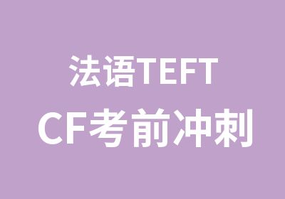 法语TEFTCF考前冲刺班