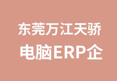 东莞万江天骄电脑ERP企业资源管理培训