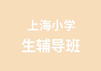 上海小学生辅导班