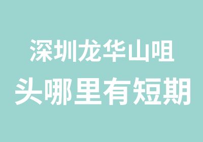 深圳龙华山咀头哪里有短期室内设计培训