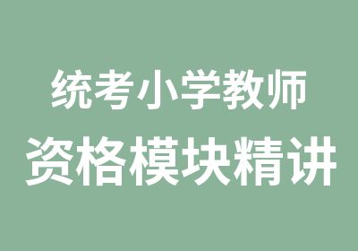 统考小学教师资格模块精讲班