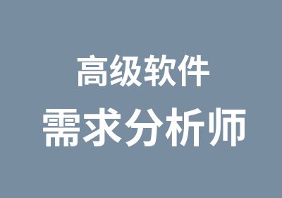 软件需求分析师