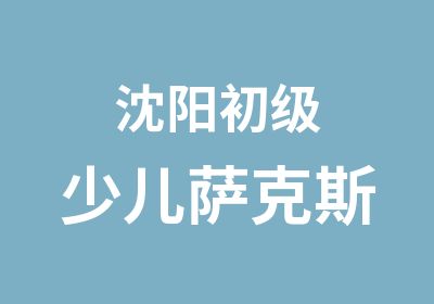 沈阳初级少儿萨克斯