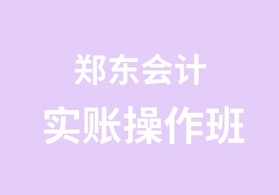 郑东会计实账操作班