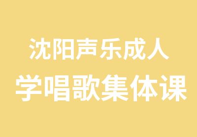 沈阳声乐成人学唱歌集体课399元即将开课