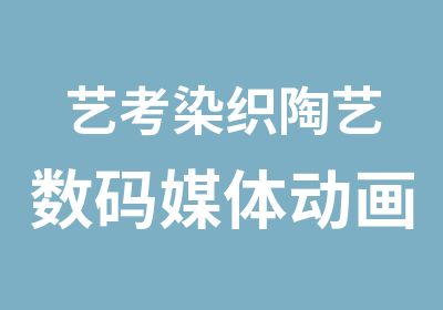 艺考染织陶艺数码媒体动画专业培训