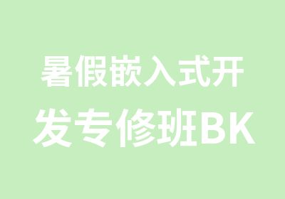 暑假嵌入式开发专修班BK93辅导