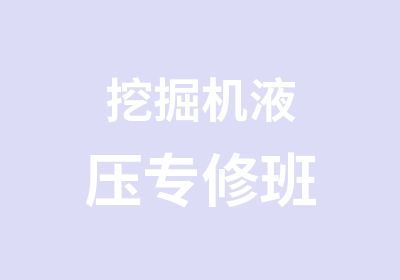 挖掘机液压专修班