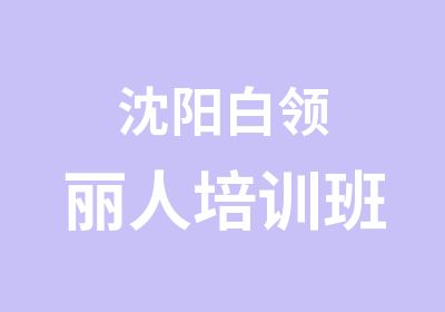 沈阳白领丽人培训班