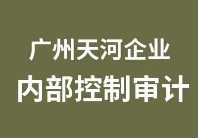 广州天河企业内部控制审计辅导班
